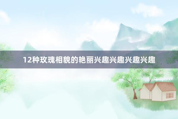 12种玫瑰相貌的艳丽兴趣兴趣兴趣兴趣