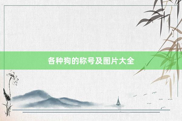 各种狗的称号及图片大全
