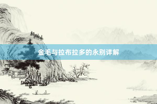 金毛与拉布拉多的永别详解